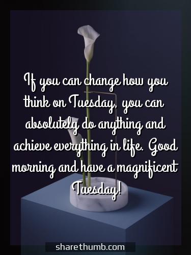 tuesday awesome quotes